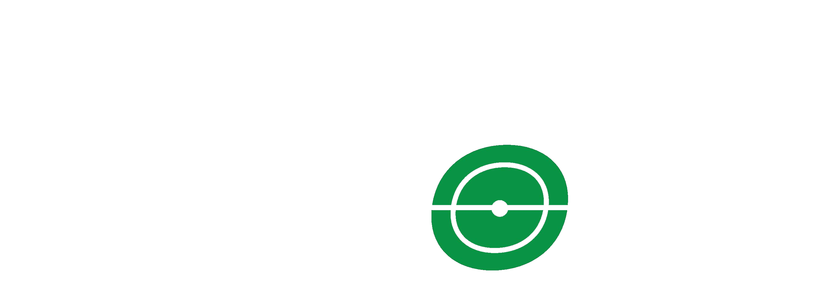 bubi sport logo
